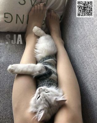日韩精品在线视频冰上轻驰_BD国语免费全集观看